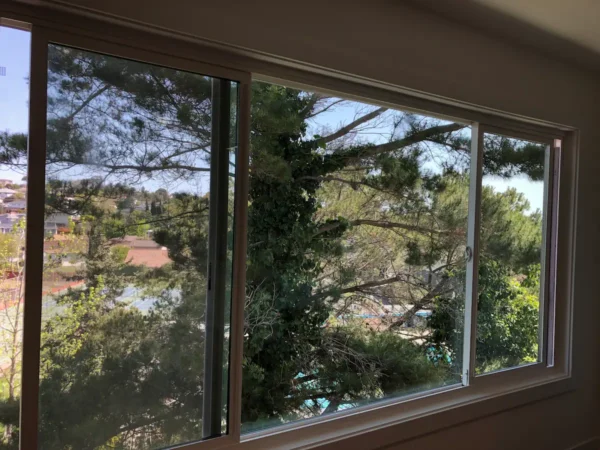 A window with trees outside of it