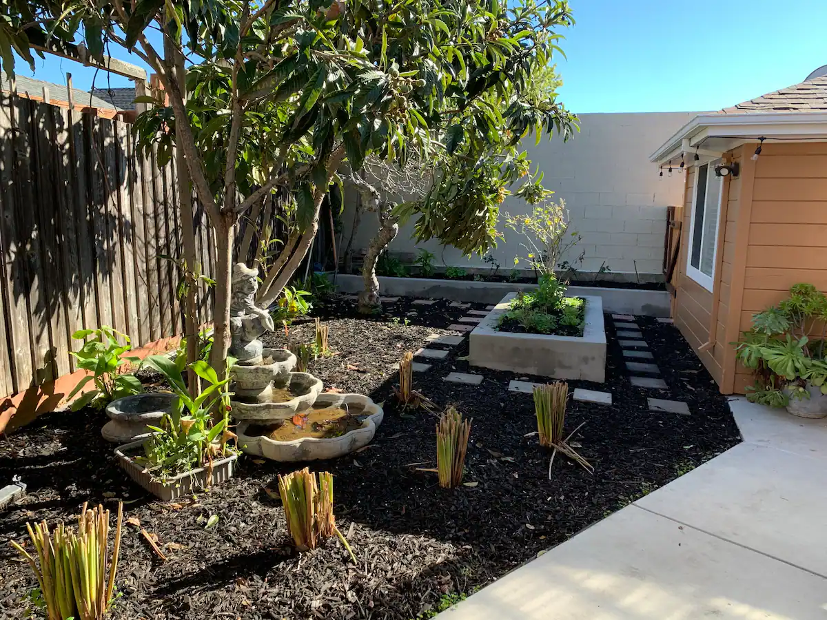 A garden with plants and trees in the background.