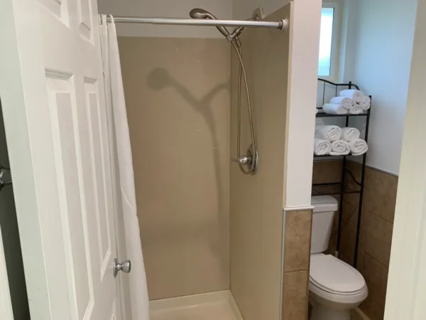 A bathroom with a shower and toilet in it