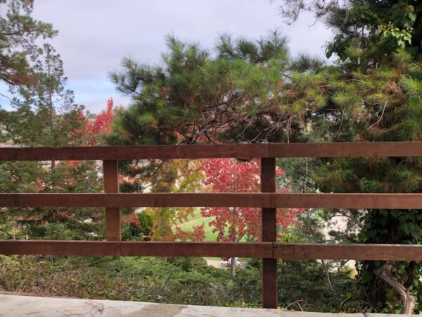 A wooden fence with trees in the background