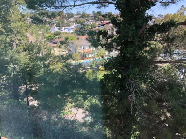 A view of trees and houses from the top of a hill.