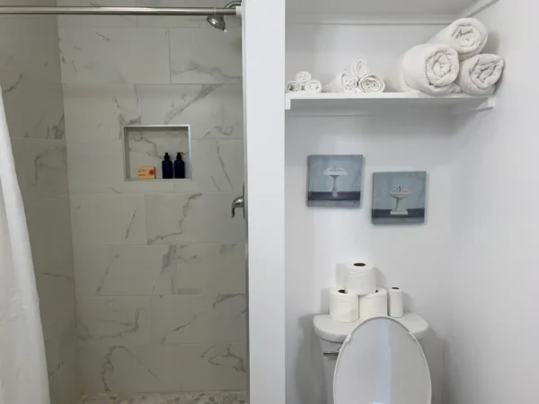 A bathroom with toilet and shower in it