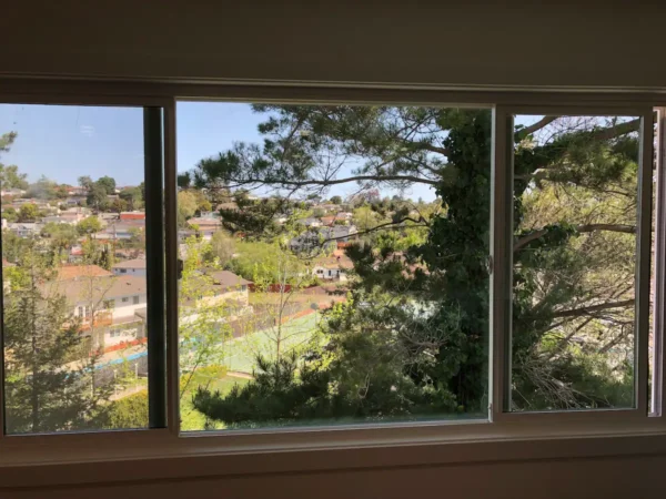 A view of trees and houses from the window.