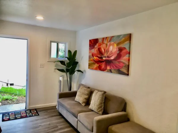 A living room with a couch and a plant