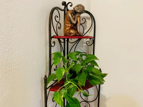 A plant is sitting on the corner of a wall.