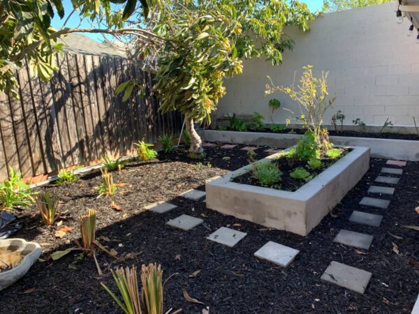 A garden with plants and trees in it