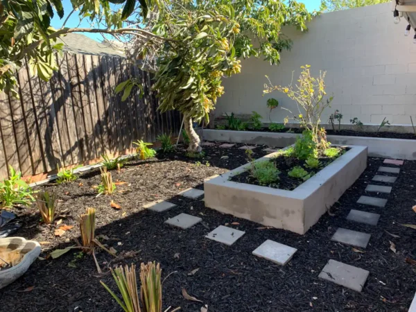 A garden with plants and flowers in it.