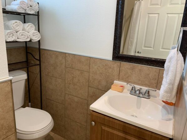 A bathroom with a toilet, sink and mirror.