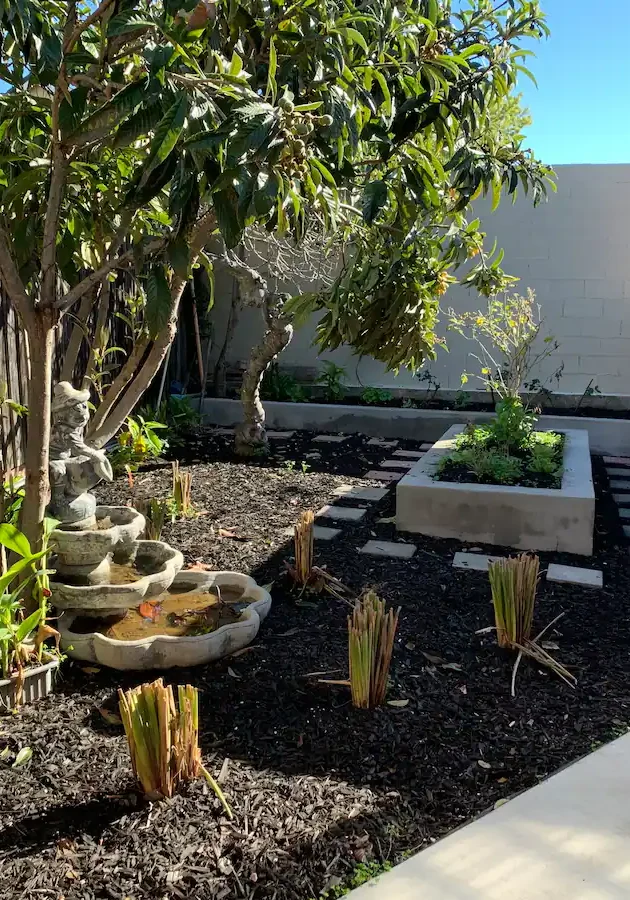 A garden with plants and trees in the background.